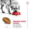 Trockenfutter für Hunde Royal Canin Maxi Adult 15 kg — Huhn, 26% Protein, 17% Fett, Verdauungsunterstützung