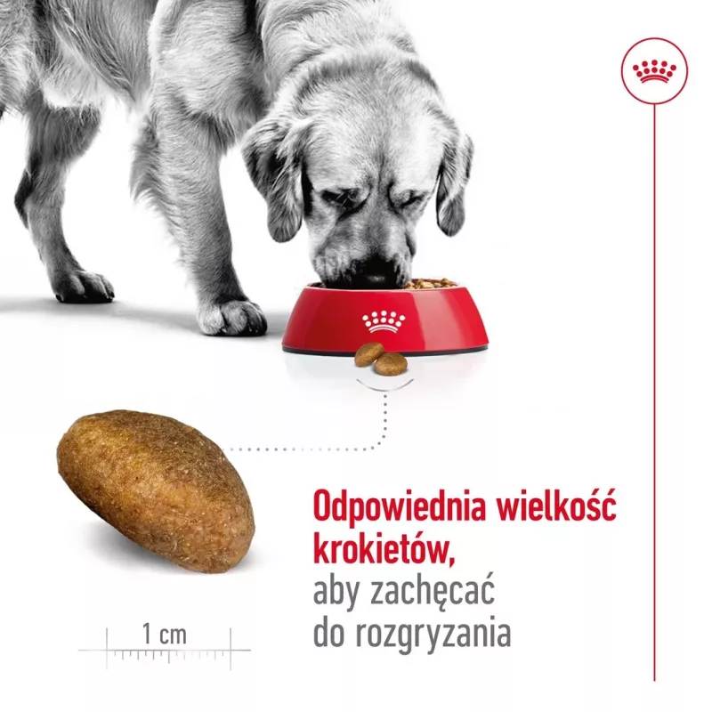 Trockenfutter für Hunde Royal Canin Maxi Adult 15 kg — Huhn, 26% Protein, 17% Fett, Verdauungsunterstützung