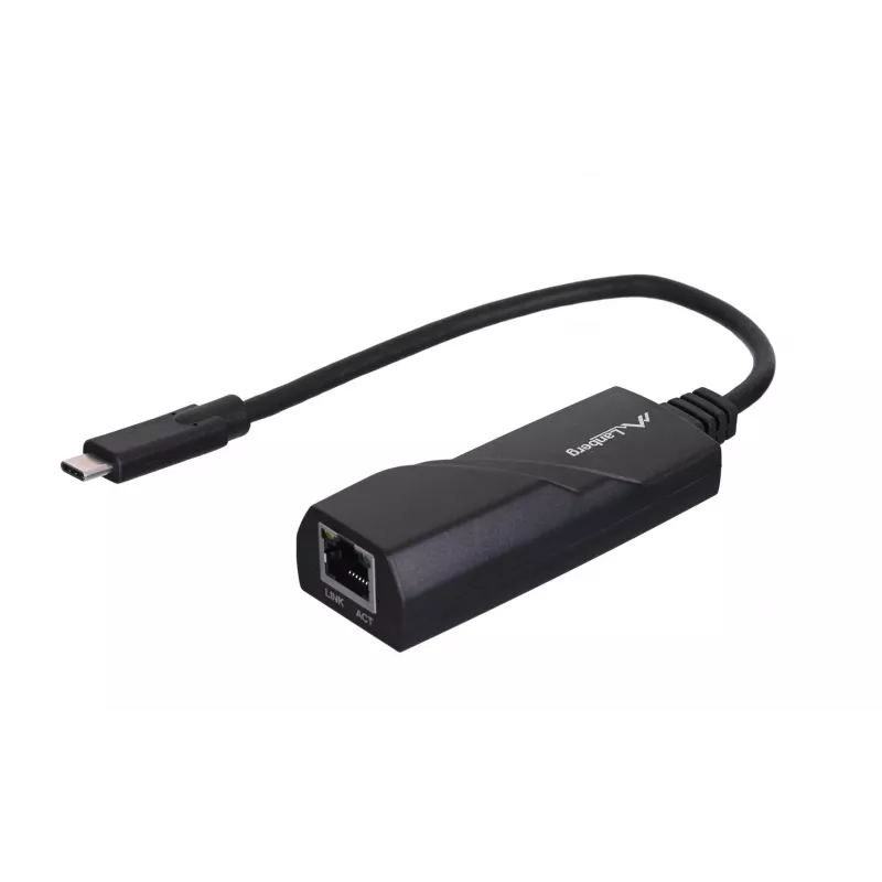 Lanberg NC-1000-02 Schnittstellenkarten/Adapter RJ-45