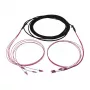 Synergy 21 LWL-Kabel Trunk Kabel U-DQ ZN BH 4G 50/125 LC/LC OM4 10m Ring - Kabel - Multimode-Faser