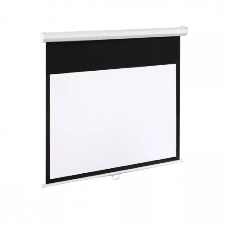 Elektrische Leinwand 100 16:9 120 265x150 mattweiß mit Fernbedienung