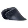 Gembird MUSW-ERGO-03 Maus Home Rechtshänder RF Kabellos Optisch 1600 DPI