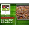 Projektionsleinwand MACLEAN MC-592 Wand-/Deckenmontage 200 x 150 cm 4:3