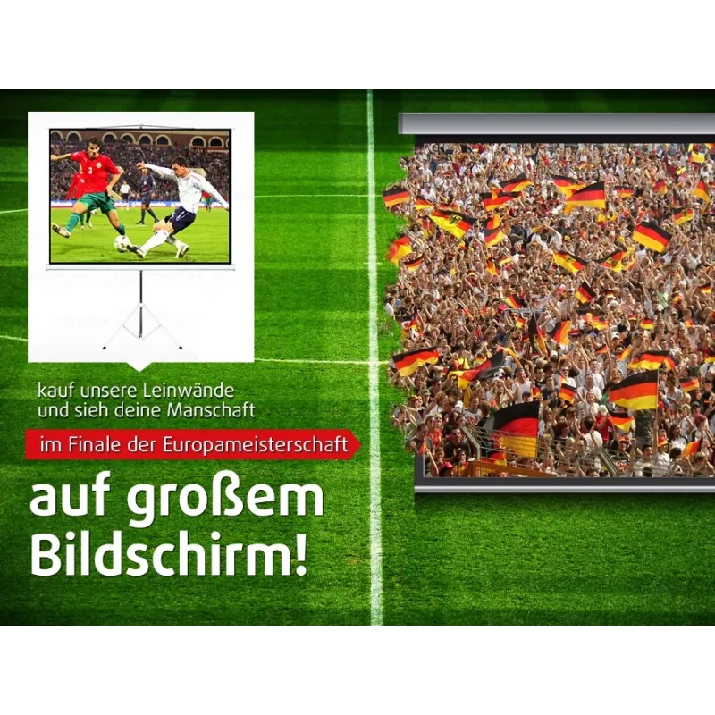 Projektionsleinwand MACLEAN MC-592 Wand-/Deckenmontage 200 x 150 cm 4:3