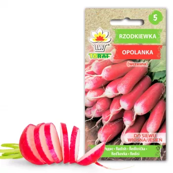 Opolanka Radieschen Toraf Gemüsesamen, 10g Packung