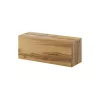 Cama Schrank VIGO 90 geschlossen 90/35/32 Wotan-Eiche