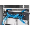 Kabelmanagement Digitus DN-10 ORG-1/2U