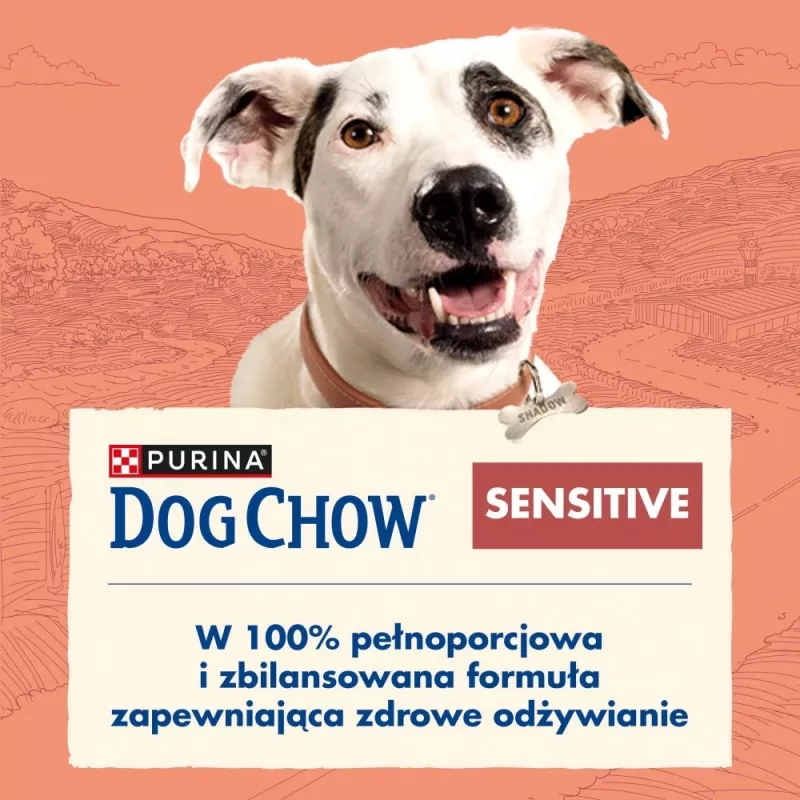 PURINA Dog Chow Sensitive Salmon - Trockenfutter für Hunde - 14 + 2,5 kg