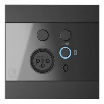 AUDAC WP225/B Wandpanel, XLR-Mikrofon + 3,5-mm-Klinkenbuchse, Bluetooth, schwarz