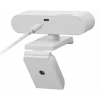 Lenovo GXC1D66063 Webcam 2,8 MP 1920 x 1080 Pixel USB-C Grau