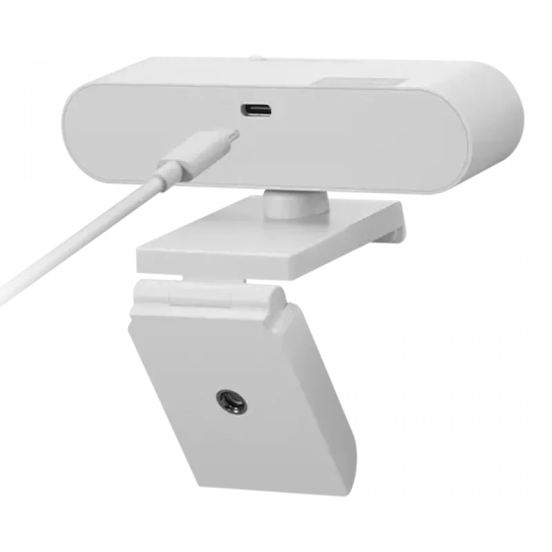 Lenovo GXC1D66063 Webcam 2,8 MP 1920 x 1080 Pixel USB-C Grau