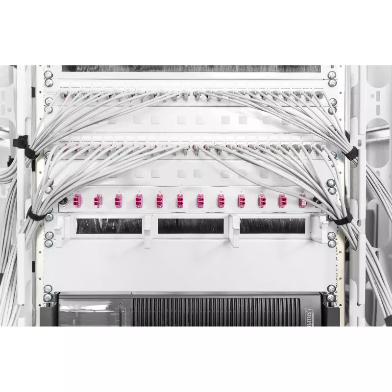 Blindplatte Digitus DN-19 BPN-02