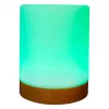 Ambient light RealPower 200 RGB mit Fernbedienung