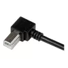 StarTech.com 2 m USB 2.0 A auf rechtwinkliges B-Kabel – M/M