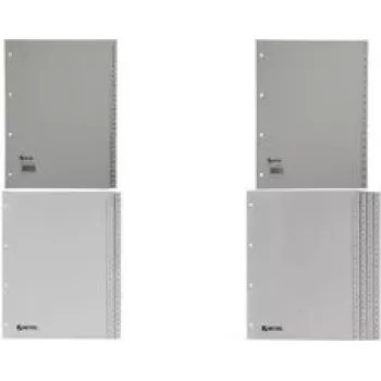 Rexel PP-Register, grau, numerisch, Grau, 226 mm, 297 mm, 225 mm, 298 mm, 4 mm