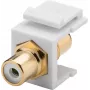 Goobay 79676 - Flach - Weiß - RCA - RCA - Buchse - Buchse (79676)