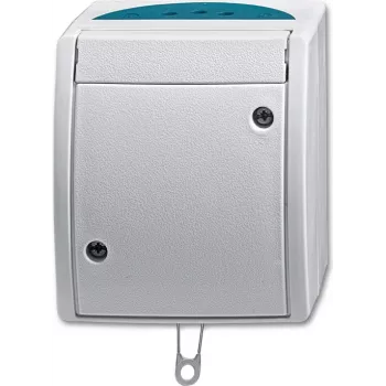 BUSCH JAEGER 2CKA001383A0141 - Zugkettenschalter - Silber - IP44 - RoHS CE - 250 V - 74 mm