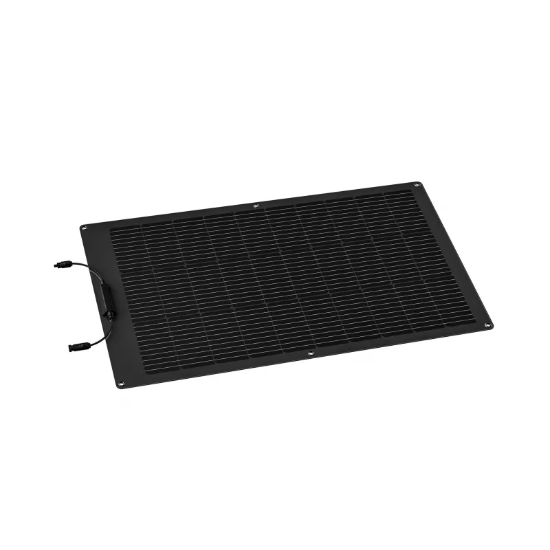 EcoFlow ZMS330 Solarmodul 100 W Monokristallines Silizium