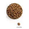 ACANA Adult Large Breed – Trockenfutter für Hunde – 11,4 kg