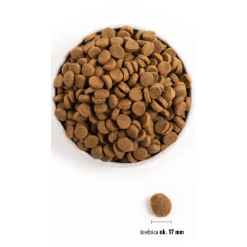 ACANA Adult Large Breed – Trockenfutter für Hunde – 11,4 kg