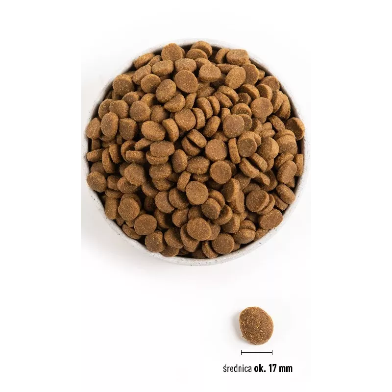 ACANA Adult Large Breed – Trockenfutter für Hunde – 11,4 kg