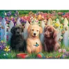 sweet puppy scene, Puzzle 1000 Teile