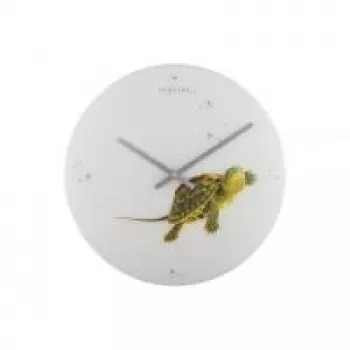 NeXtime Uhr 8137 Turtle, Ø43 cm, Wand, Weiß/Grün