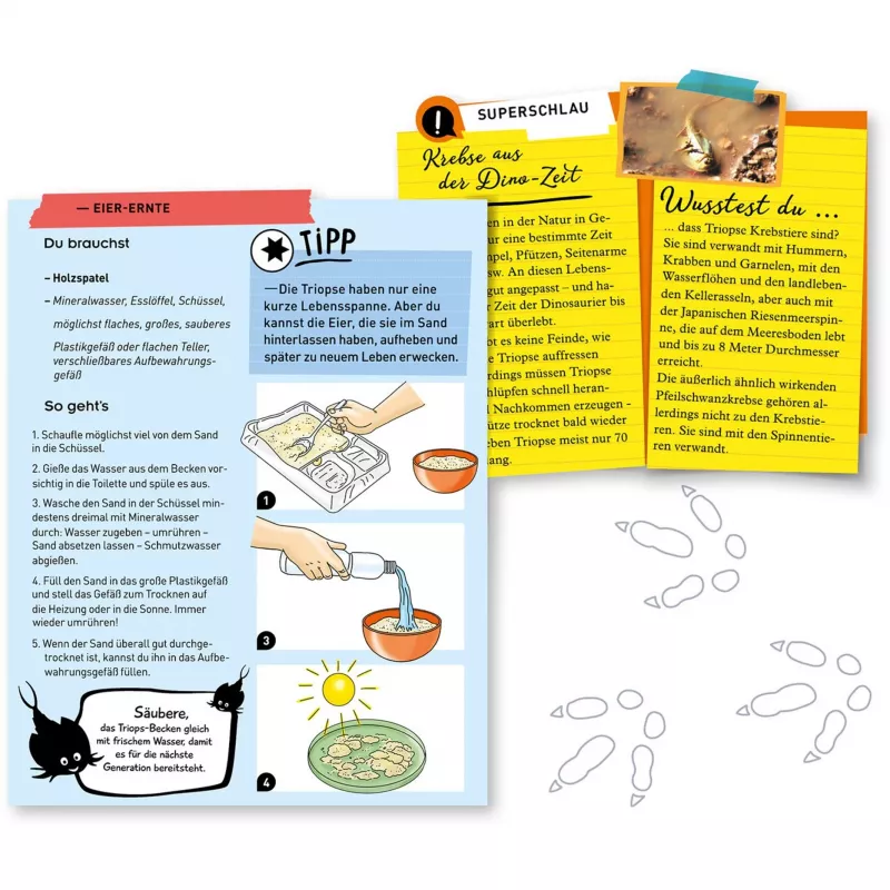 Kosmos Fun Science 637231 Experimentierkasten für Kinder