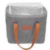 Thermotasche Adler AD 4523, 10 L Fassungsvermögen, weiche isolierte Kühltasche für Lebensmittel und Getränke