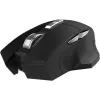 Cian Technology GmbH INCA Maus IWM-555 Bluetooth & Wireless Akku USB-C SW Einzelhandel - Maus - Bluetooth