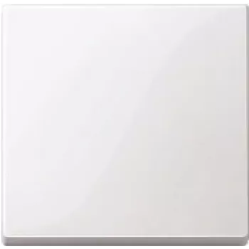 Wandplatte / Schalterabdeckung Merten 432125, weiß, thermoplastisch