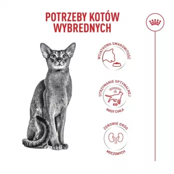 ROYAL CANIN Savour Exigent – Trockenfutter für Katzen – 4 kg