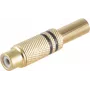 RCA-Steckverbinder ShiverPeaks BS52021-S Gold Buchse