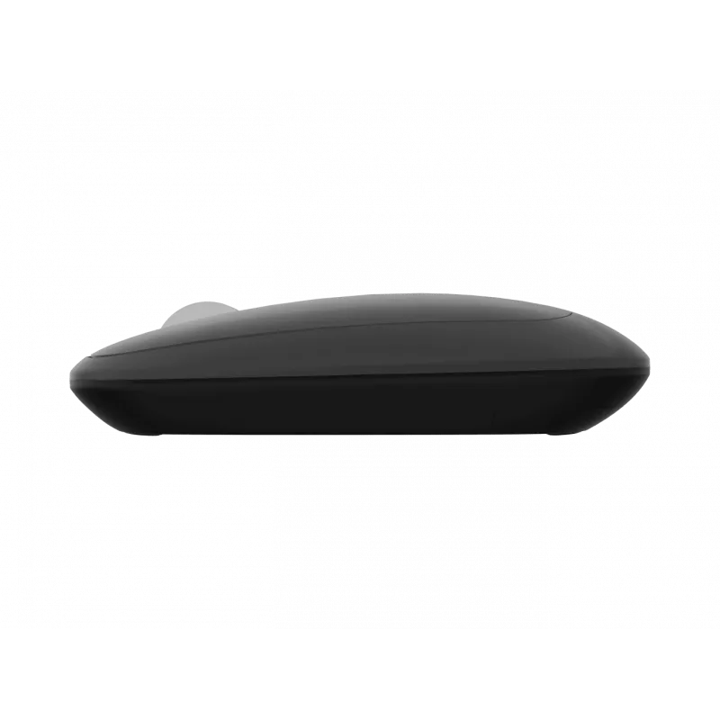 Natec Maus | Lark | Kabellos | 2,4 GHz, Bluetooth | Anthrazit