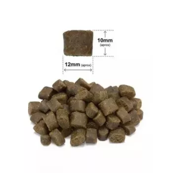 ARQUIVET Frischer Lachs mit Pute - halbfeuchtes Hundefutter - 2,5 kg