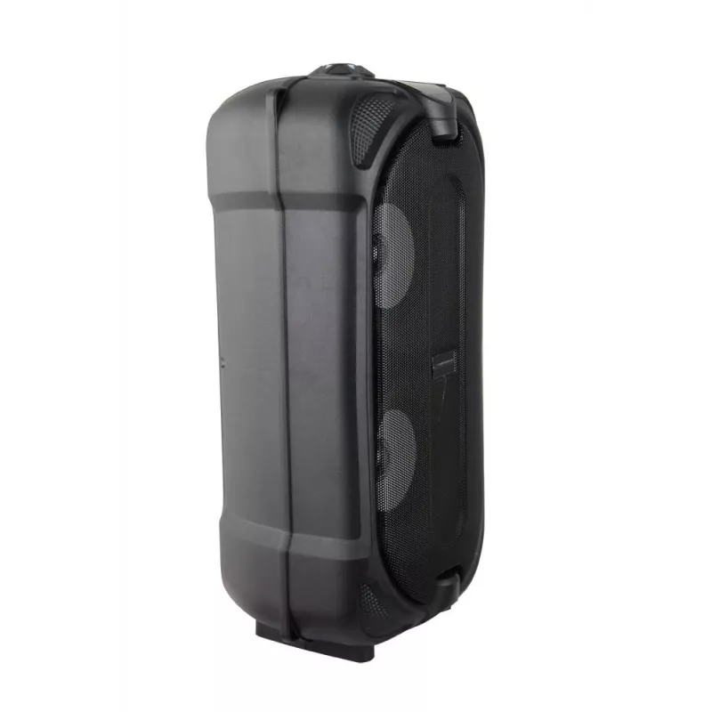 Esperanza EP157 BT FM LED RGB Lautsprecher Schwarz 10W