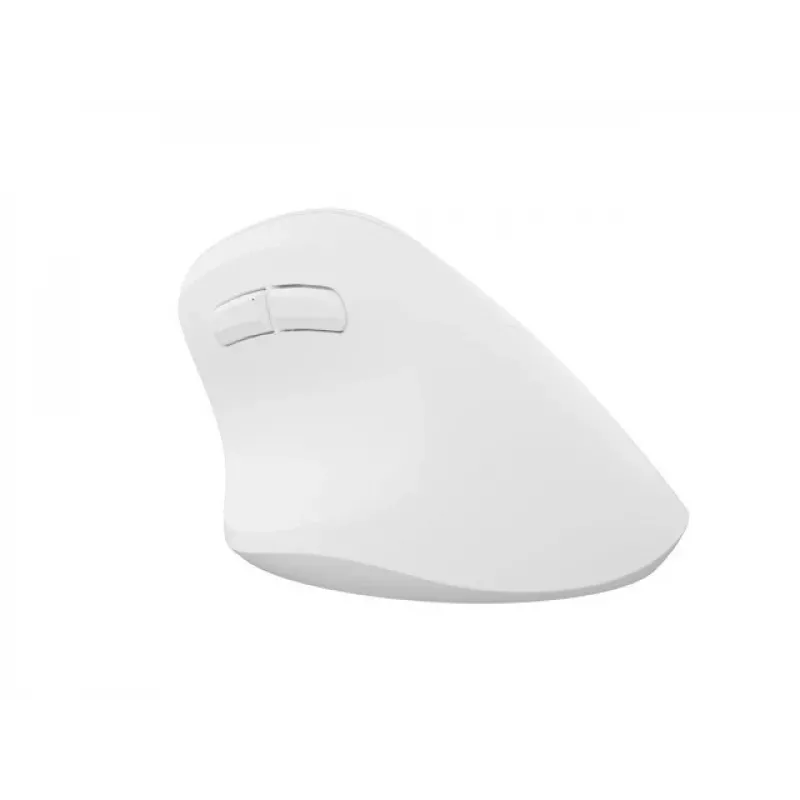 NATEC Crake 2 Maus, universell, für Rechtshänder, RF Wireless + Bluetooth, optisch, 2400 DPI