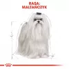 Trockenfutter für Hunde Royal Canin Maltese Adult 1,5 kg – Huhn, 24 % Protein, 18 % Fett