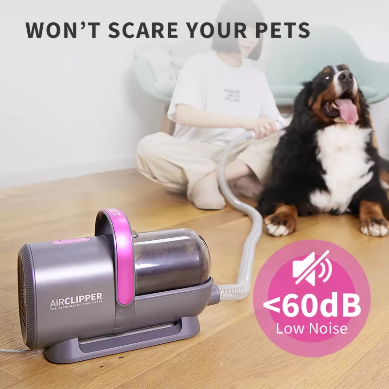 PETKIT DT5-EU Staubsauger und Haarschneider für Katzen und Hunde, schwarz/lila