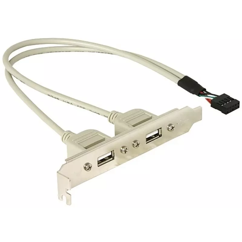 Slotbracket 1x interner USB 5-Pin auf 2x externe USB 2.0 DeLOCK 71000