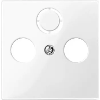 Wandplatte / Schalterabdeckung Merten 296719, weißer Thermoplast, Einfachrahmen, 1 Stück
