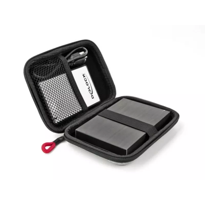 DeLOCK Schutztasche für 2,5-Zoll-SSDs, externe Gehäuse und Festplatten bis 12 x 8 x 2 cm