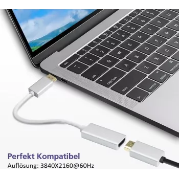 DisplayPort auf HDMI Adapterkabel Helos 4K Silber — DisplayPort (Stecker) auf HDMI (Buchse)