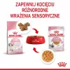 Nassfutter für Kätzchen Royal Canin Kitten Jelly 85 g — Hühnchengeschmack, 85-g-Beutel, 12 Stück