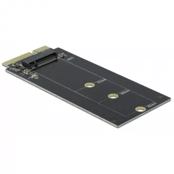 DeLOCK - Schnittstellenadapter - M.2 - M.2-Karte - SATA 6Gb/s (64099)