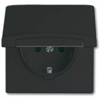 Busch-jaeger 2CKA002064A0290 Schwarz