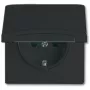 Busch-jaeger 2CKA002064A0290 Schwarz