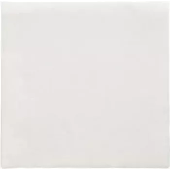 PAPSTAR Servietten Daily Collection Weiß 2-lagig 16,0 x 16,0 cm 150 Stück (89636)