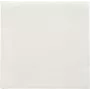 PAPSTAR Servietten Daily Collection Weiß 2-lagig 16,0 x 16,0 cm 150 Stück (89636)