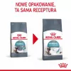 Trockenfutter für Katzen Royal Canin Hairball Care 10 kg — Formel für ausgewachsene Katzen, Mais & Geflügel